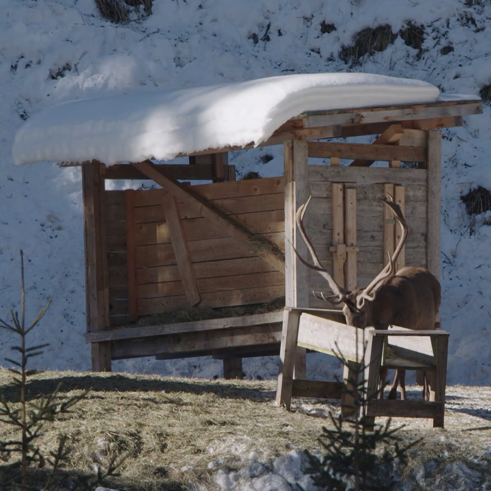 Heimat Österreich Winter im Paznaun